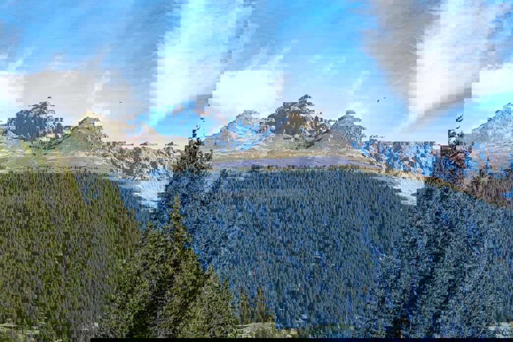 Panorama con impianto solare sulla cresta tra Prättigauerstrasse e Davoserstrasse sopra la foresta.