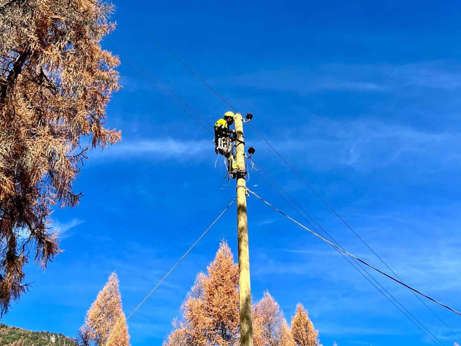 IA: Assistente per i nostri eroi della rete – nuovo palo