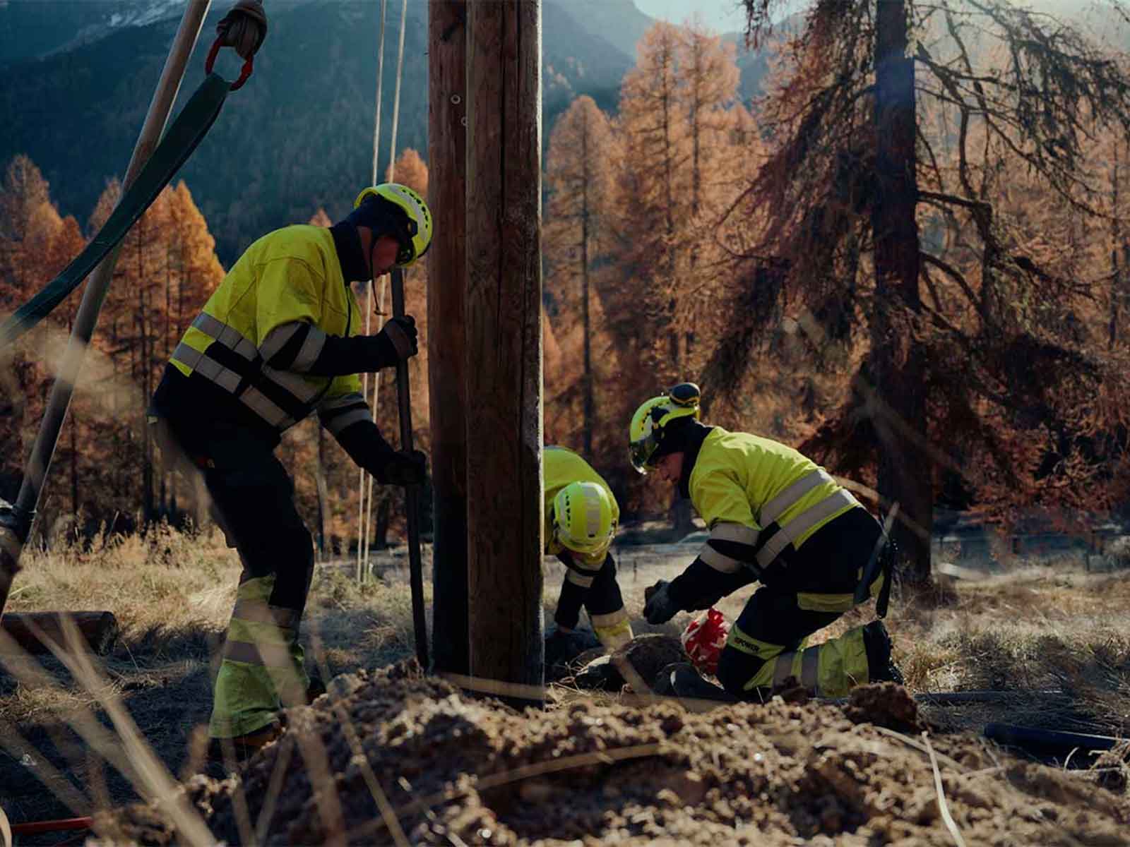 IA: Assistente per i nostri eroi della rete – lavori al palo