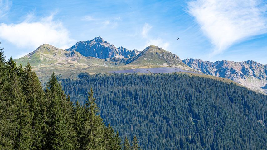 Gpl Vis Praettigeuerstrasse Davoserstrasse Sommer Madrisa Solar
